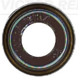 Seal Ring, valve stem